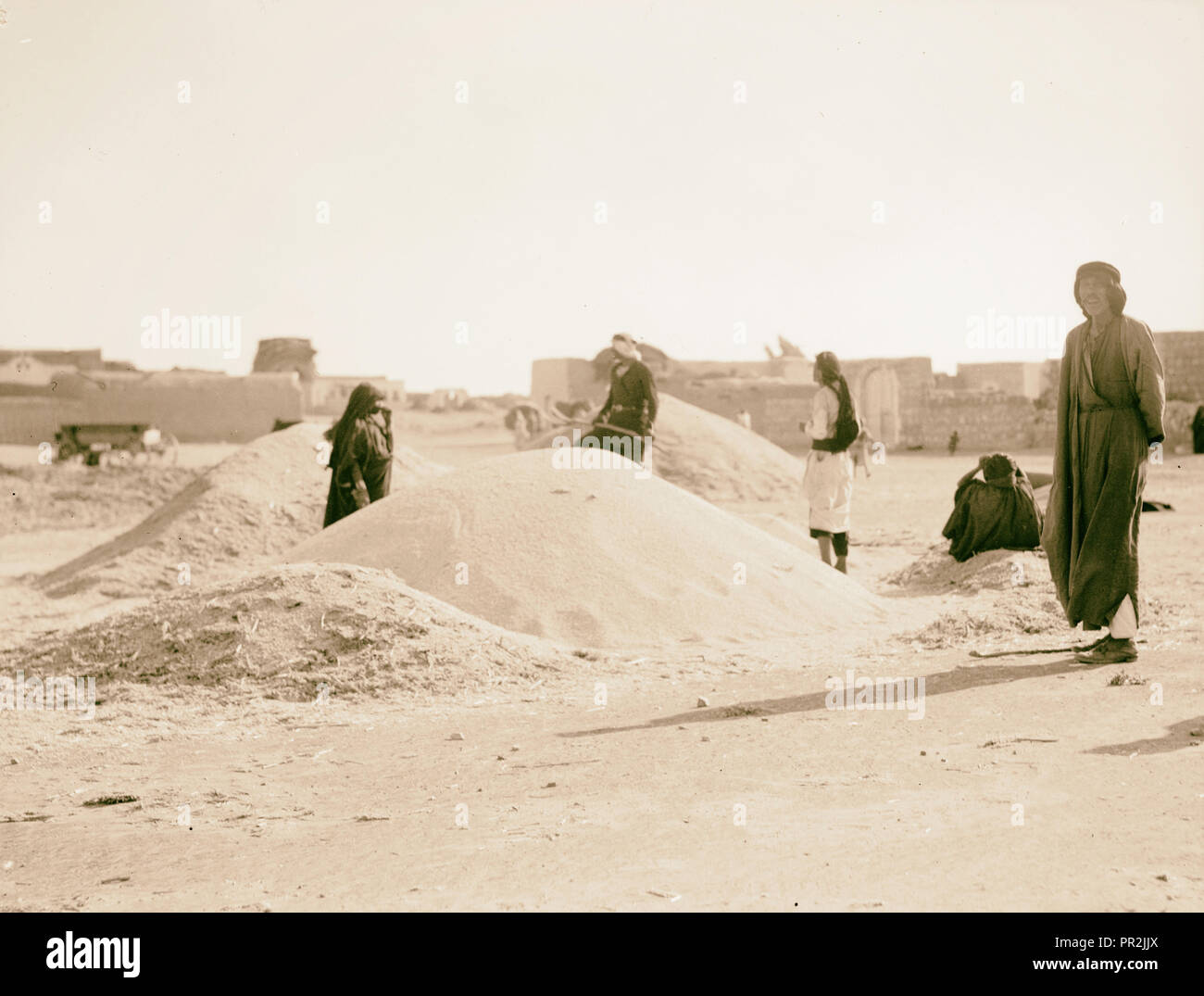 Agricoltura, ecc. Pile di seme di miglio su pavimenti di trebbiatura di Kakoun sulla Pianura di Sharon. 1920, Israele Foto Stock