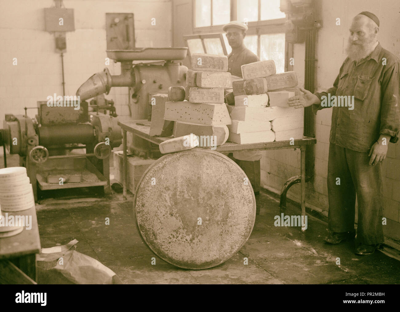 Fabbriche di ebraico in Palestina sulla Pianura di Sharon & lungo la costa di Haifa. Tel Aviv. Fabbrica di formaggio. Int[erior]. Foto Stock