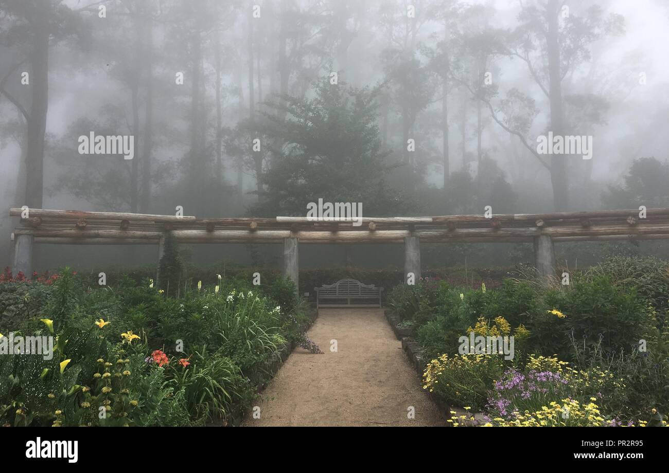Misty Mountain romantico giardino fiabesco Foto Stock