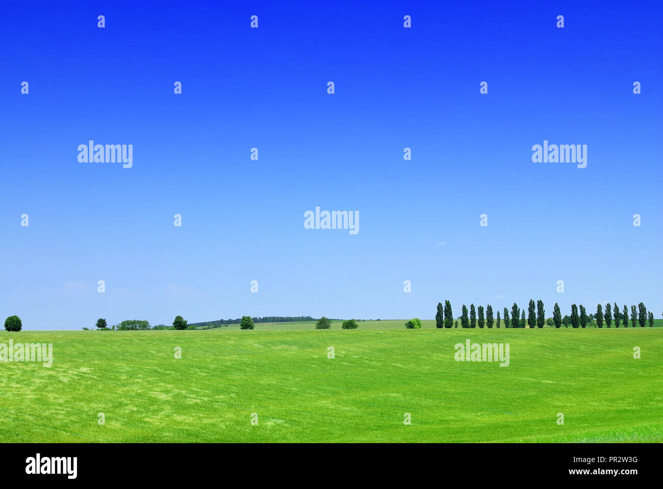 La molla del paesaggio, vista di campi verdi e blu del cielo in background Foto Stock