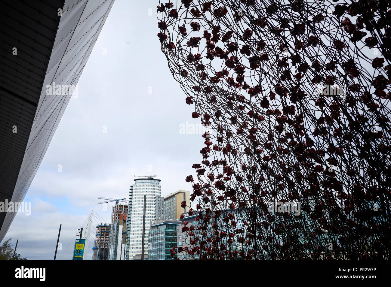 Onda IWMN cascata diverse migliaia di fatti a mano papaveri in ceramica sculture dell'artista Paolo Cummins e designer Tom Piper presso l'Imperial War Museum North Foto Stock