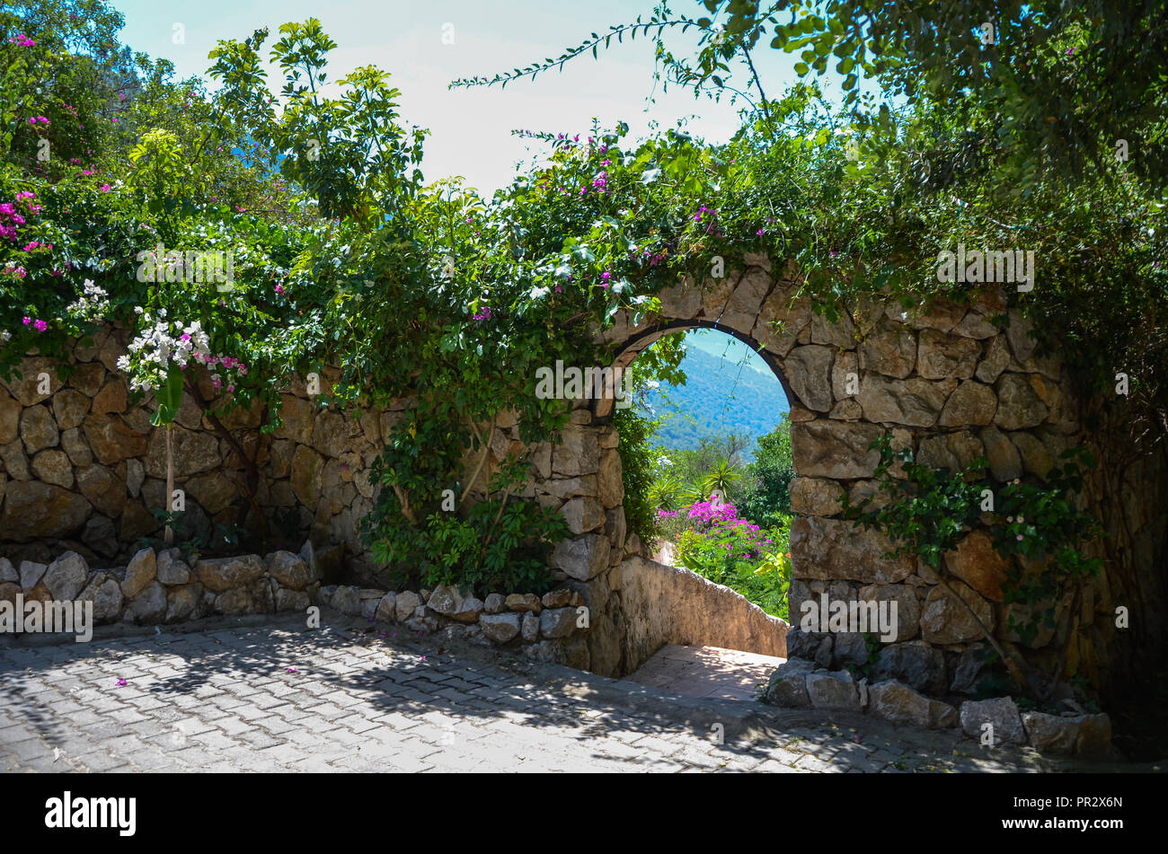 Sfondo Fantasy . Magico giardino con road.Bellissimo paesaggio a molla. Alberi di bouganville in fiore Foto Stock