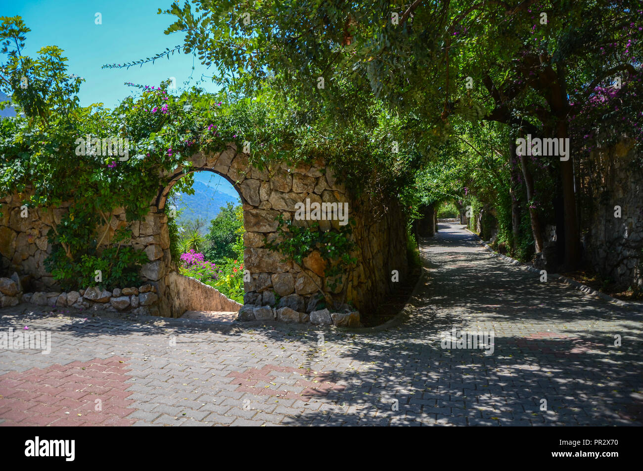Sfondo Fantasy . Magico giardino con road.Bellissimo paesaggio a molla. Alberi di bouganville in fiore Foto Stock