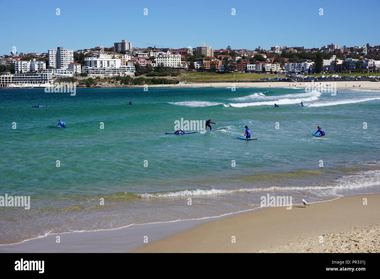 Imparare a navigare a Bondi Beach, Australia Foto Stock