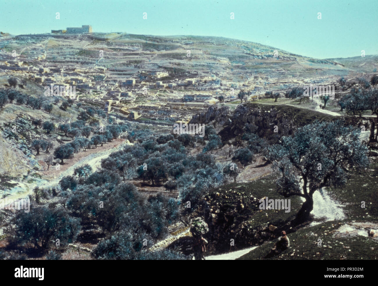 Gerusalemme. Valle di Hinnom dall'occidente. Joshua 1518. 1950, Gerusalemme, Israele Foto Stock