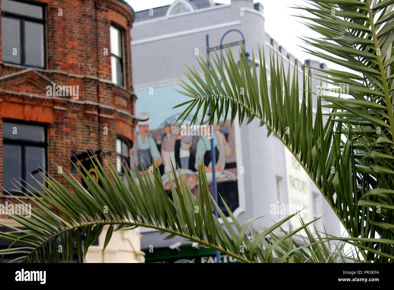 Edificio di mattoni rossi e un edificio bianco con pittura, Palm tree in primo piano, Ramsgate Kent Foto Stock