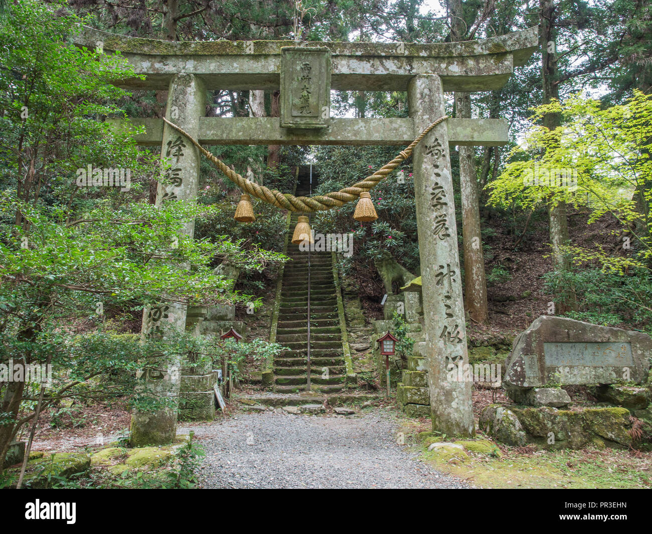 Torii gate con shimenwa, Futagoji tempio, Kunisaki Hanto, Oita, Kyushu, Giappone Foto Stock