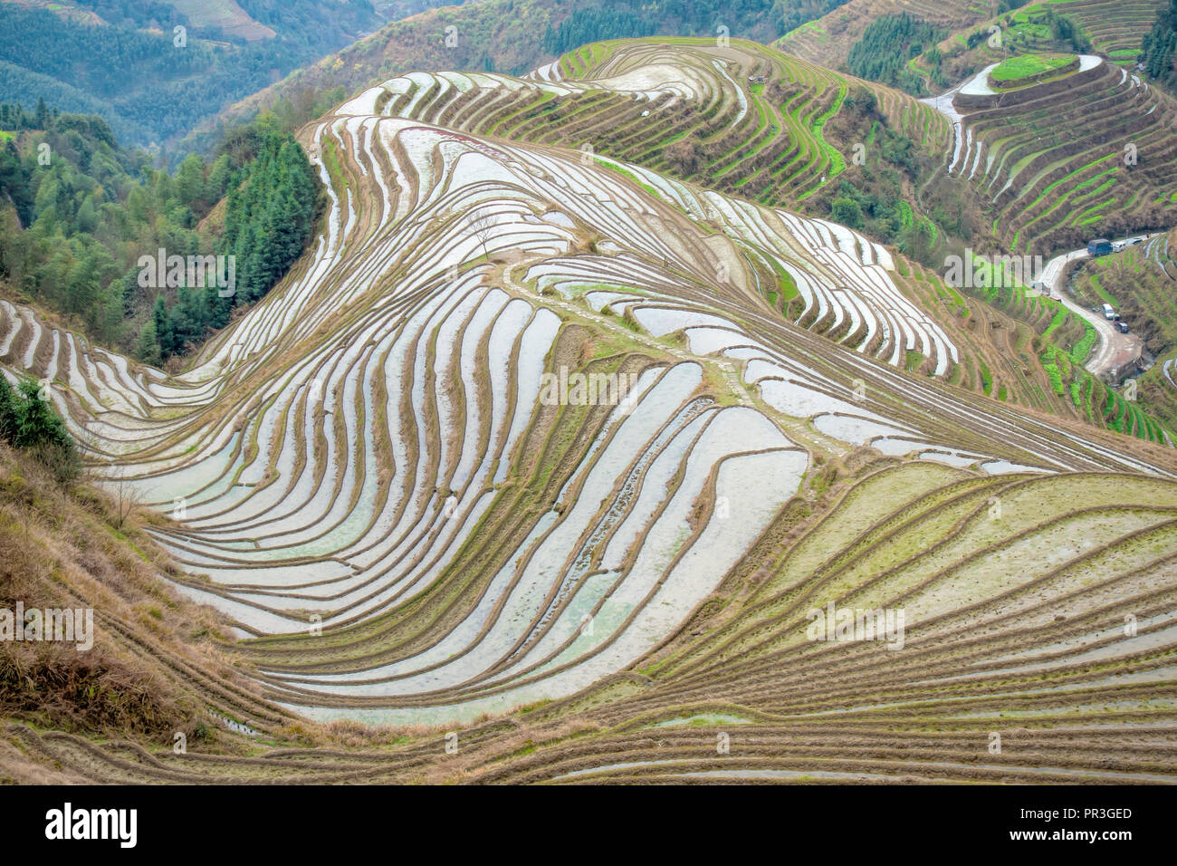 Il Longsheng terrazze di riso in Guangxi, Cina Foto Stock