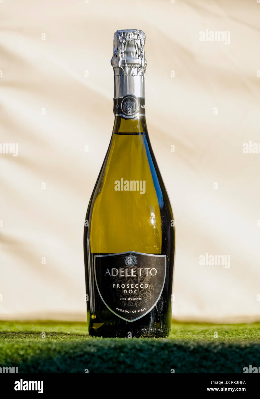 Bottiglia di Prosecco e un italiano vino bianco ottenuto da uve glera e  prende il nome da un villaggio italiano Foto stock - Alamy