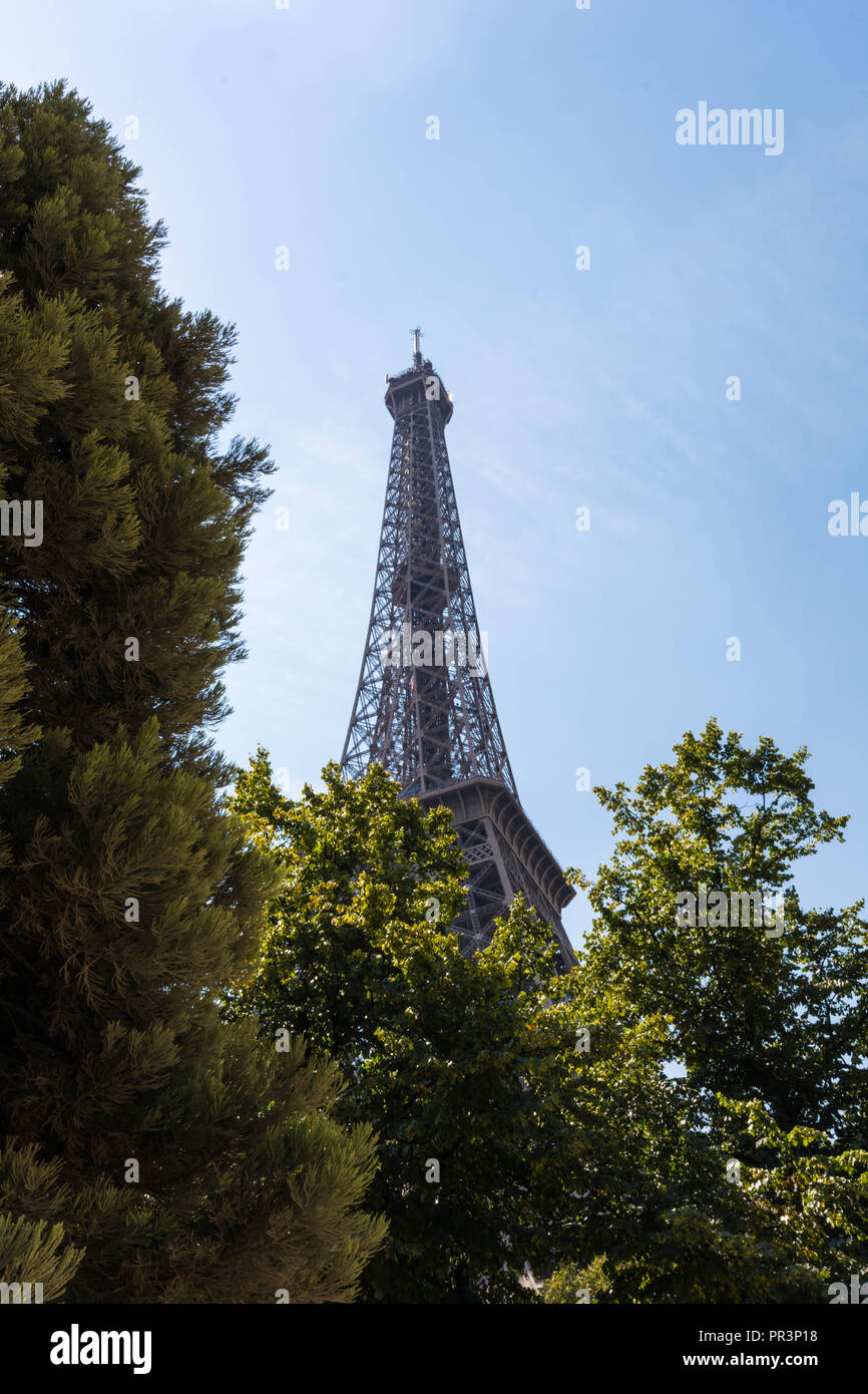 Torre Eiffel incorniciato in alberi durante la soleggiata giornata estiva,Parigi,Francia Foto Stock