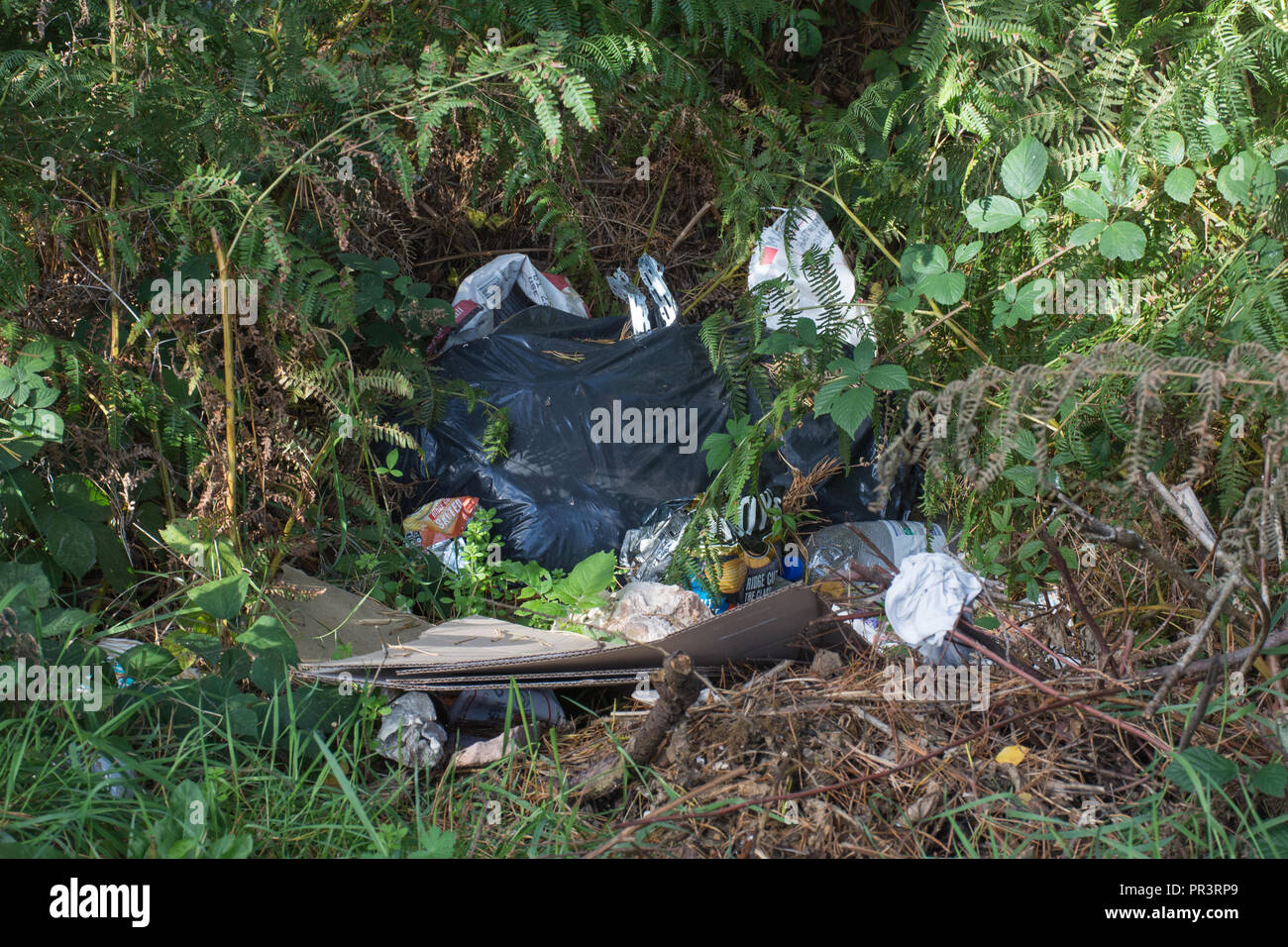 Rifiuti Rifiuti di plastica gettati in campagna Foto Stock