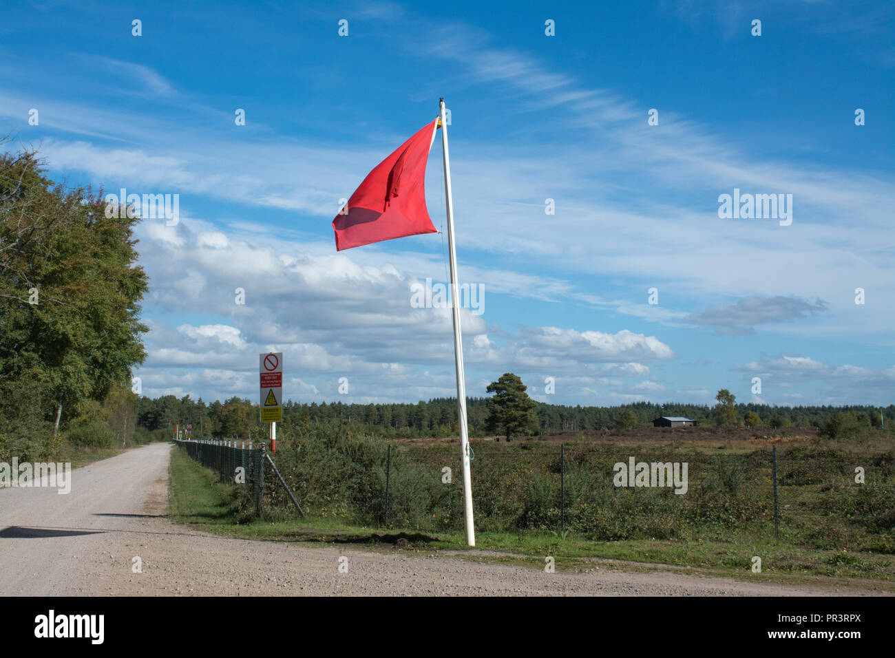 Woolmer paesaggio forestale, con pericolo rosso bandiere. Il sito viene utilizzato per l'addestramento militare, ed è un luogo di particolare interesse scientifico (SSSI) Foto Stock