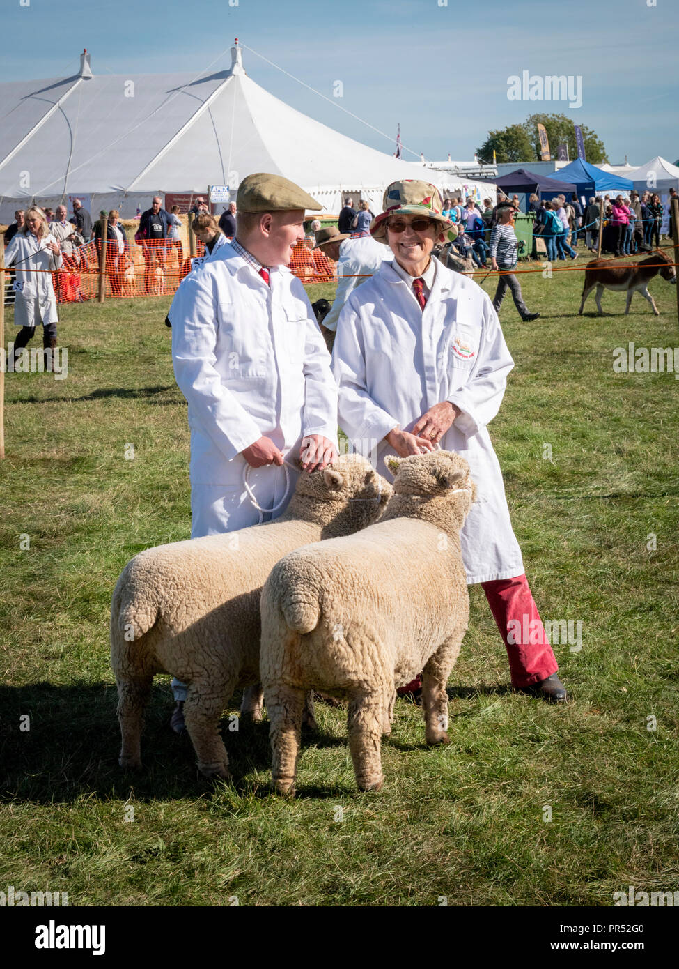 Grande Gransden, UK. Il 29 settembre 2018, Grande Gransden, Cambridgeshire Regno Unito. Una donna e ragazzo di attendere per il giudizio di iniziare con due pecore in mostra ring a 116Gransden annuale e distretto Società Agricola Show. Il caso di vetrine locale di agricoltori e la campagna di artigianato, cibo e bestiame. Credito Eales Julian/Alamy Live News Foto Stock