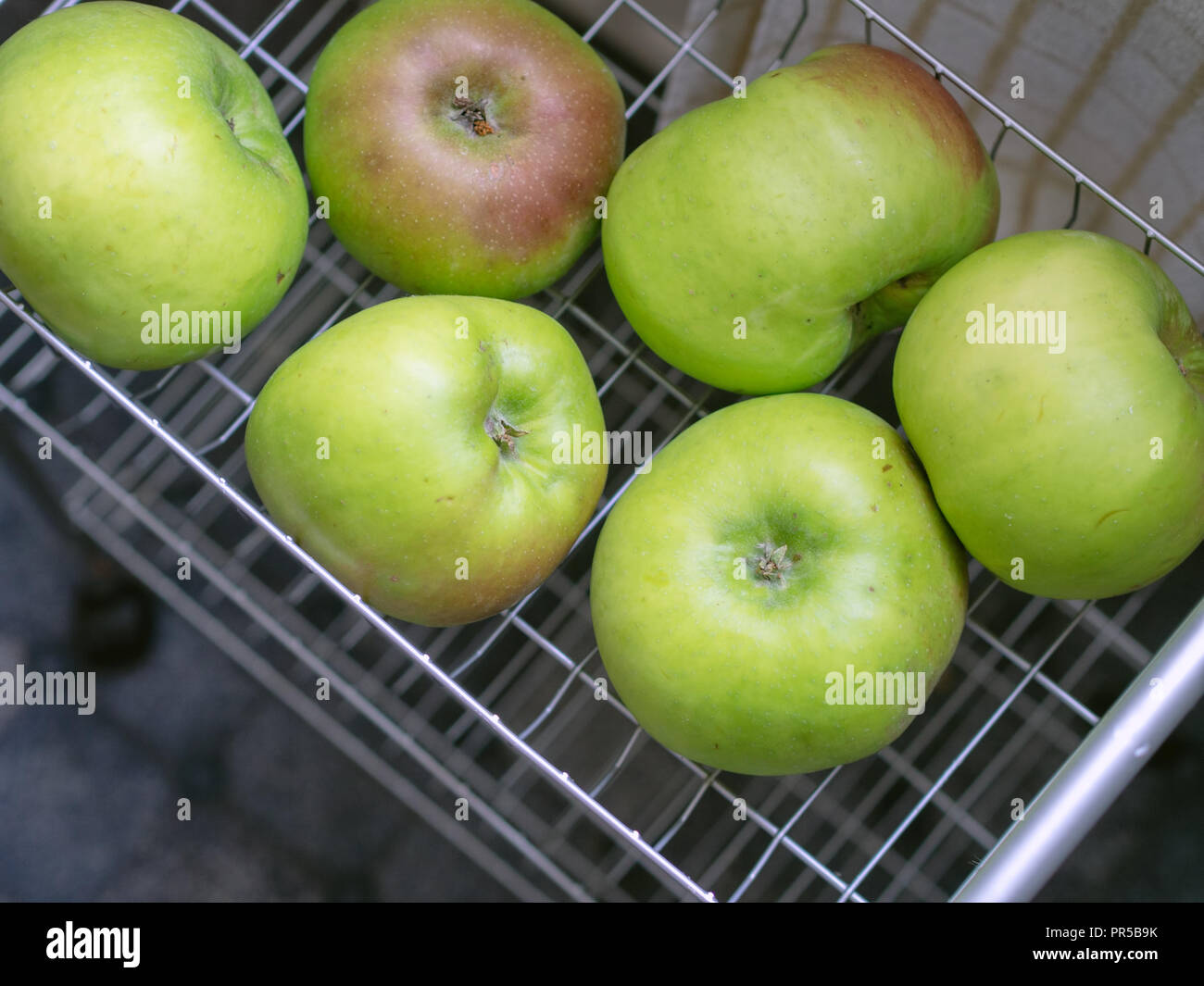 Genuine freschi raccolti cresciuti farm Bramley mele per la cottura in cucina rack. Imperfetta, naturale, frutta organica. Foto Stock