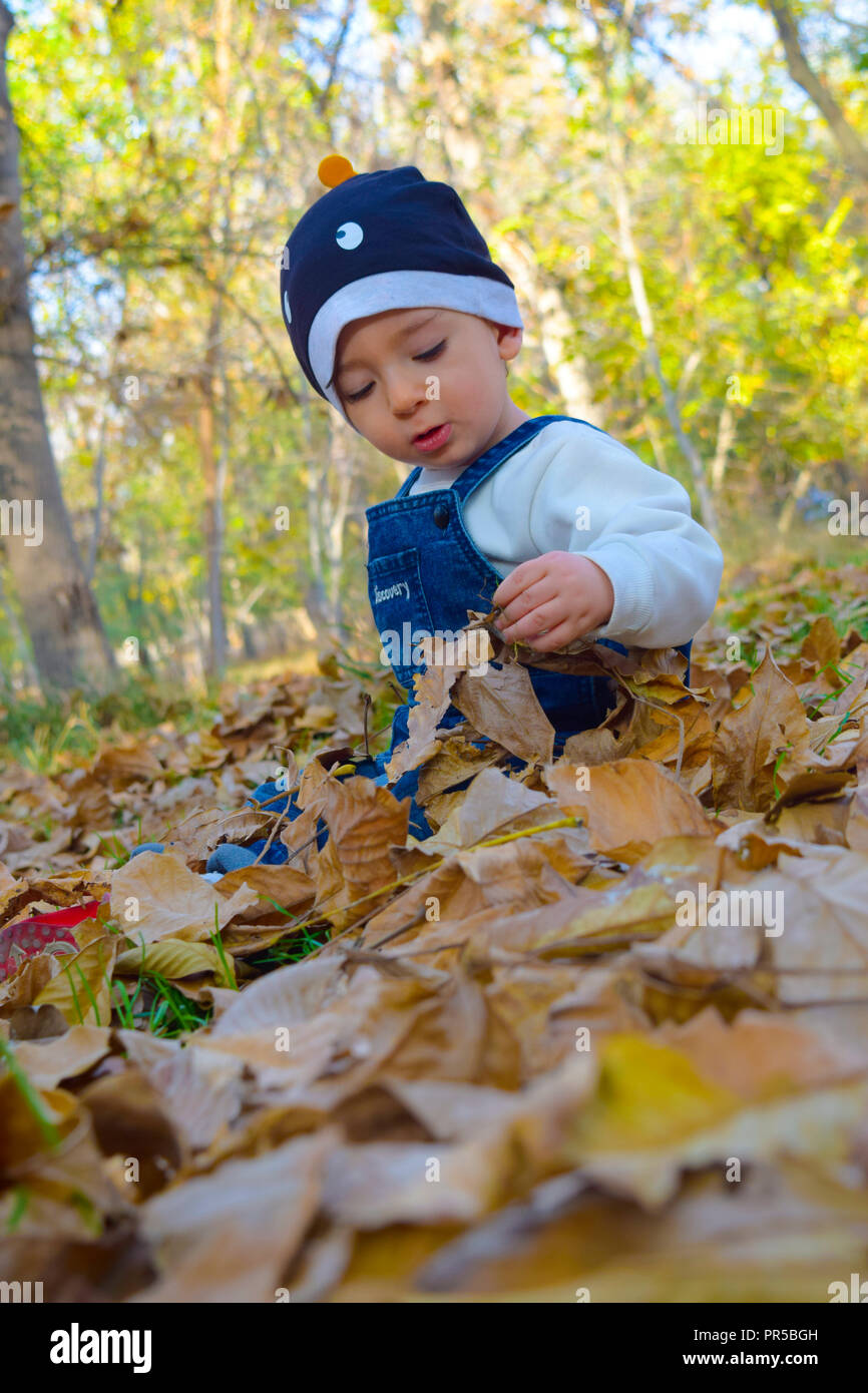 Bambino in autunno Foto Stock