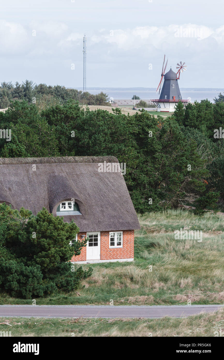 Una vista del mulino a vento Sønderho e cottage tra le dune di sabbia nel sud di Fanø, Danimarca. Foto Stock