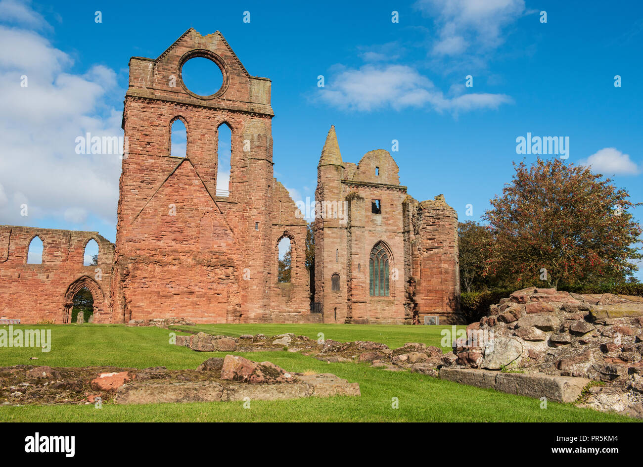 Arbroath Abbey, Arbroath, Angus, Scozia. Foto Stock