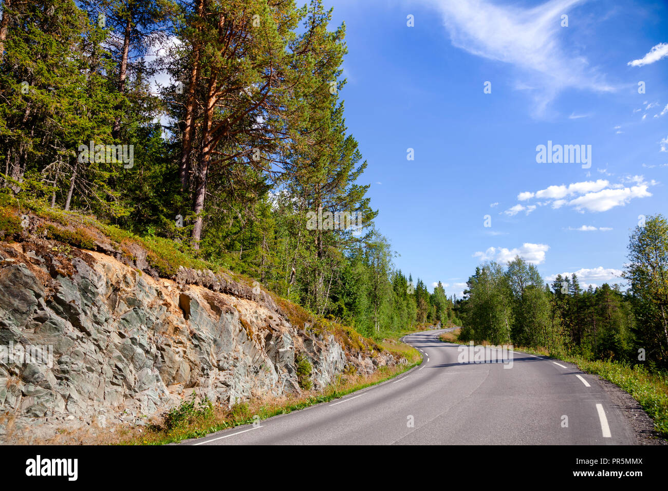 Avvolgimento scenic strada forestale della Contea di Telemark della Norvegia meridionale su un luminoso giorno di estate Foto Stock