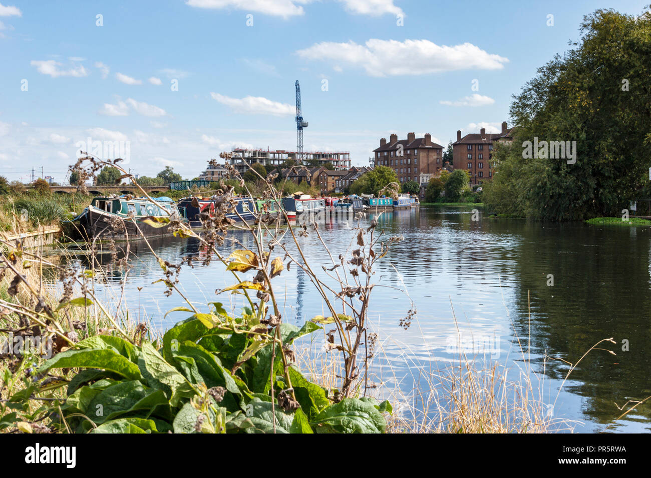 Barche ormeggiate sul fiume Lea in Upper Clapton, London, Regno Unito Foto Stock