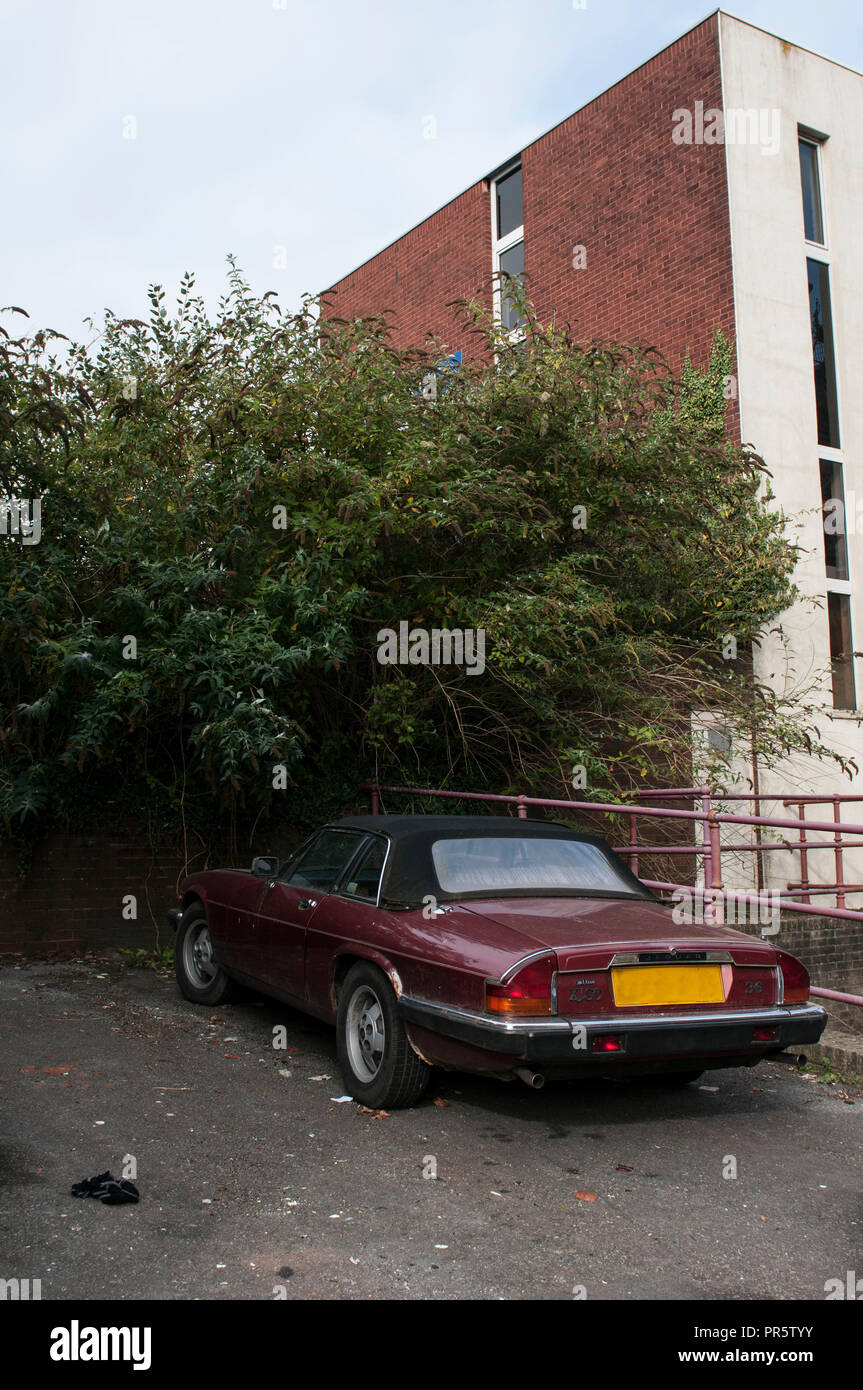 Plymouth, Regno Unito - Settembre, 2014. Vintage automobile parcheggiata sotto la boccola. Foto Stock