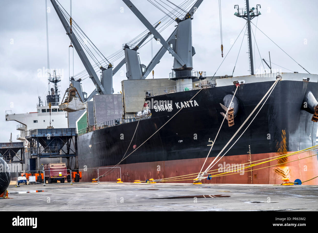 Carico che viene scaricato dalla Sagar Kanta nella tramoggia Foto Stock