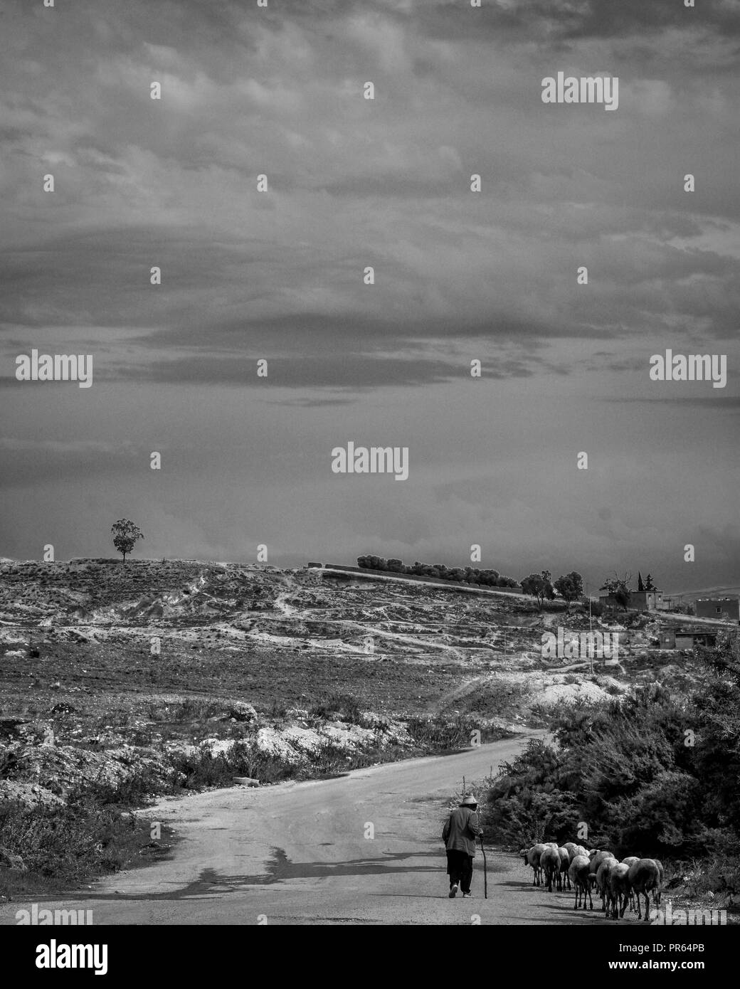 Un semplice agricoltore. Foto Stock