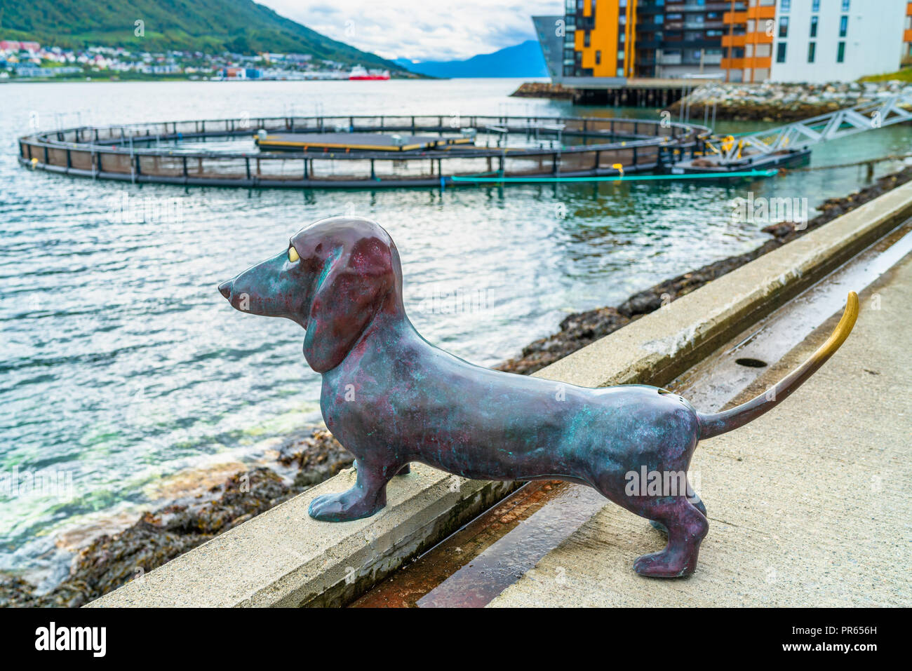 TROMSO, NORVEGIA, Settembre 2nd, 2018: la scultura di un bassotto fuori Halogaland teatro in Tromso da artisti Inghild Karlsen e Bo Bisgaard Foto Stock