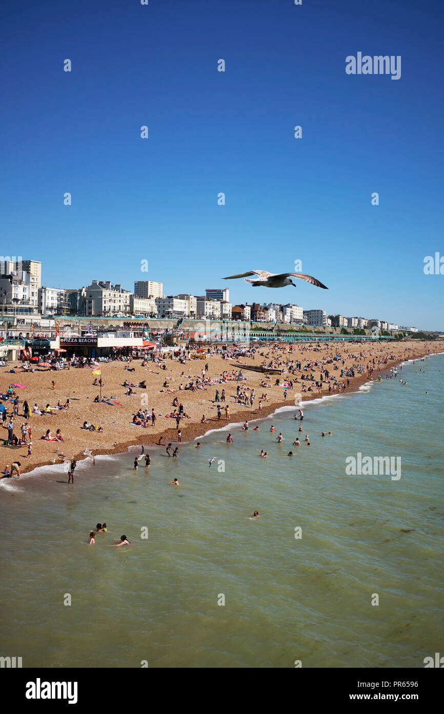 La spiaggia di Brighton e dal lungomare che guarda verso la marina dal molo. Brighton Sussex England Regno Unito Foto Stock