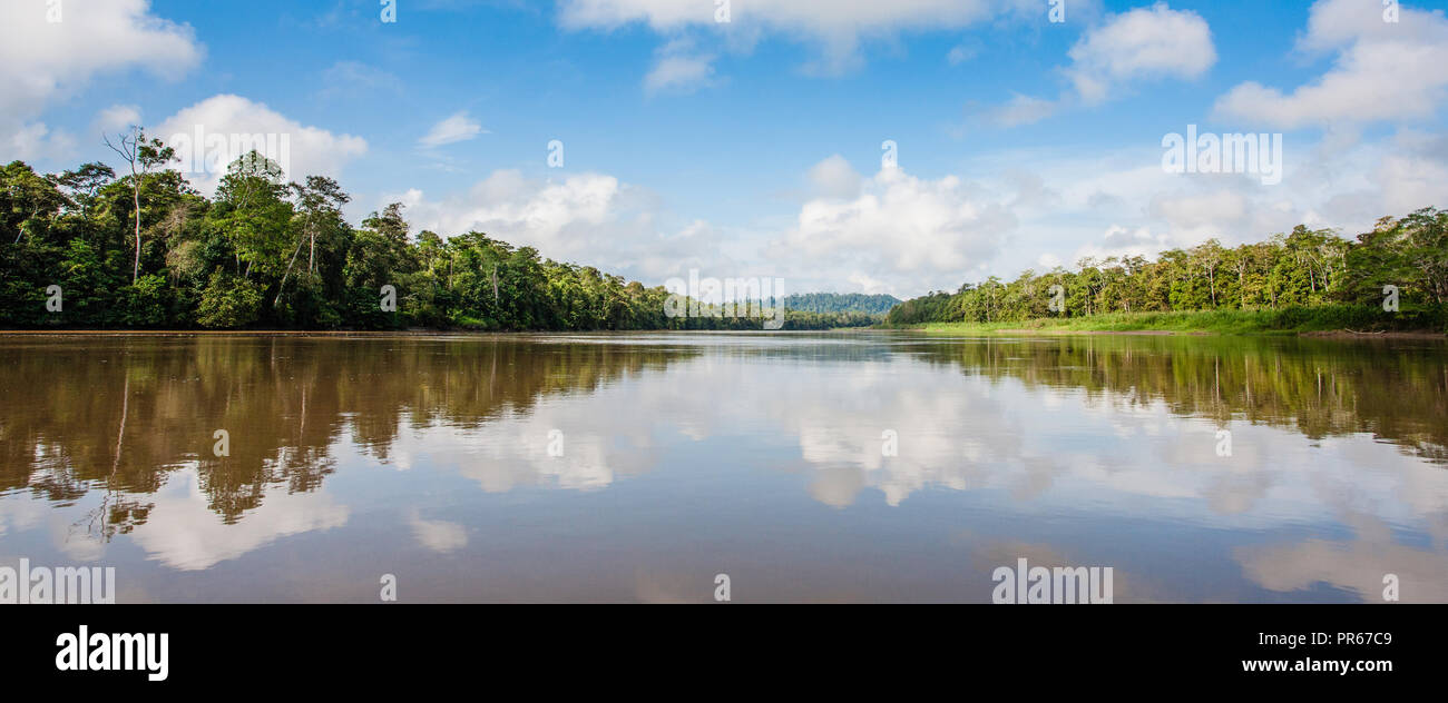 Ampia distesa del fiume Kinabatangan nel Borneo Sabah Foto Stock