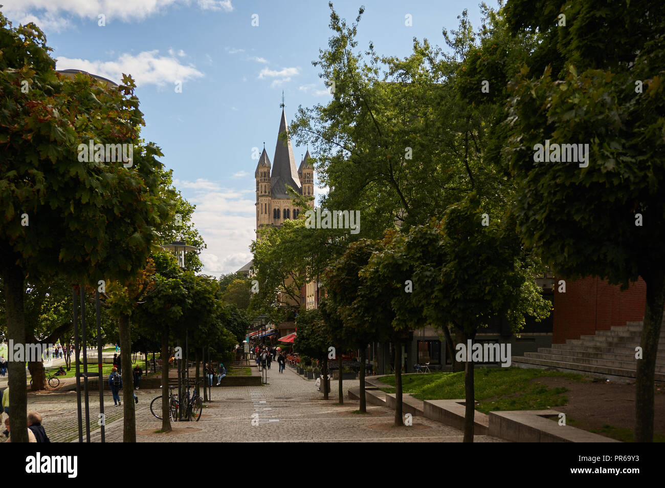 Chiesa del grande San Martin e altri edifici di Colonia visto da un parco all'aperto Foto Stock
