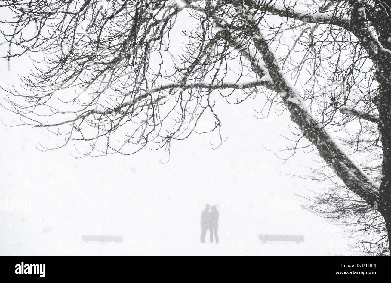 Aspro paesaggio invernale con la silhouette di due persone in un parco mentre nevicata e blizzard, incorniciato da un grande albero sfrondato in febbraio in Germania. Foto Stock