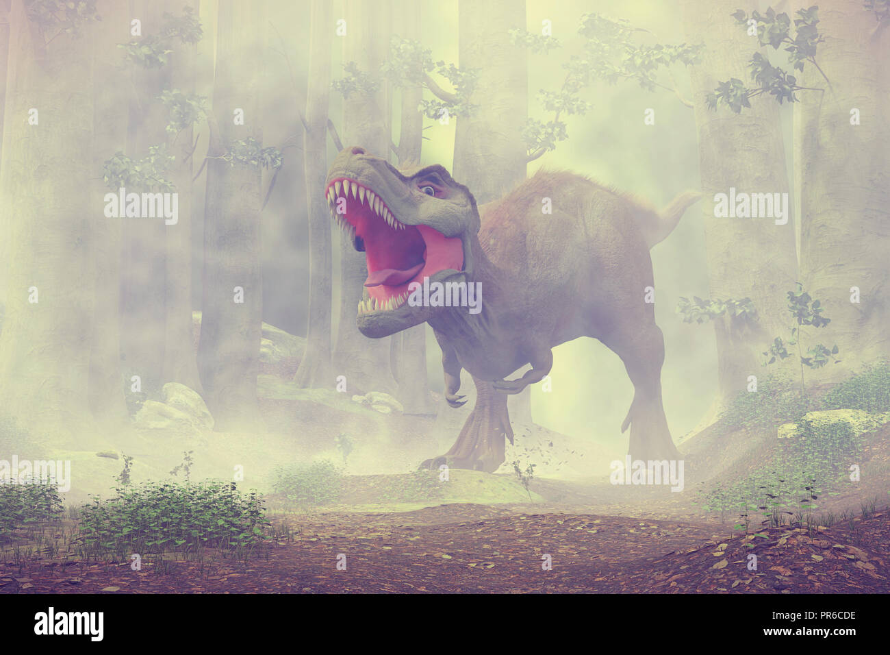 T rex, Tyrannosaurus rex dinosauro a piedi attraverso un bosco nebbioso (3d rendering) Foto Stock