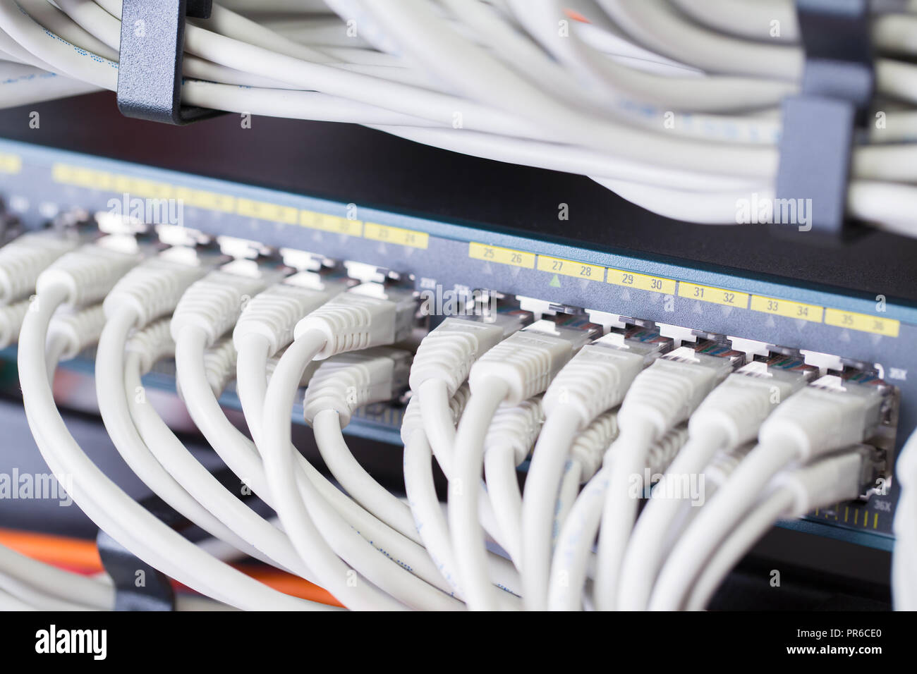 Switch di rete Gigabit con allineati i cavi patch nel data center Foto Stock