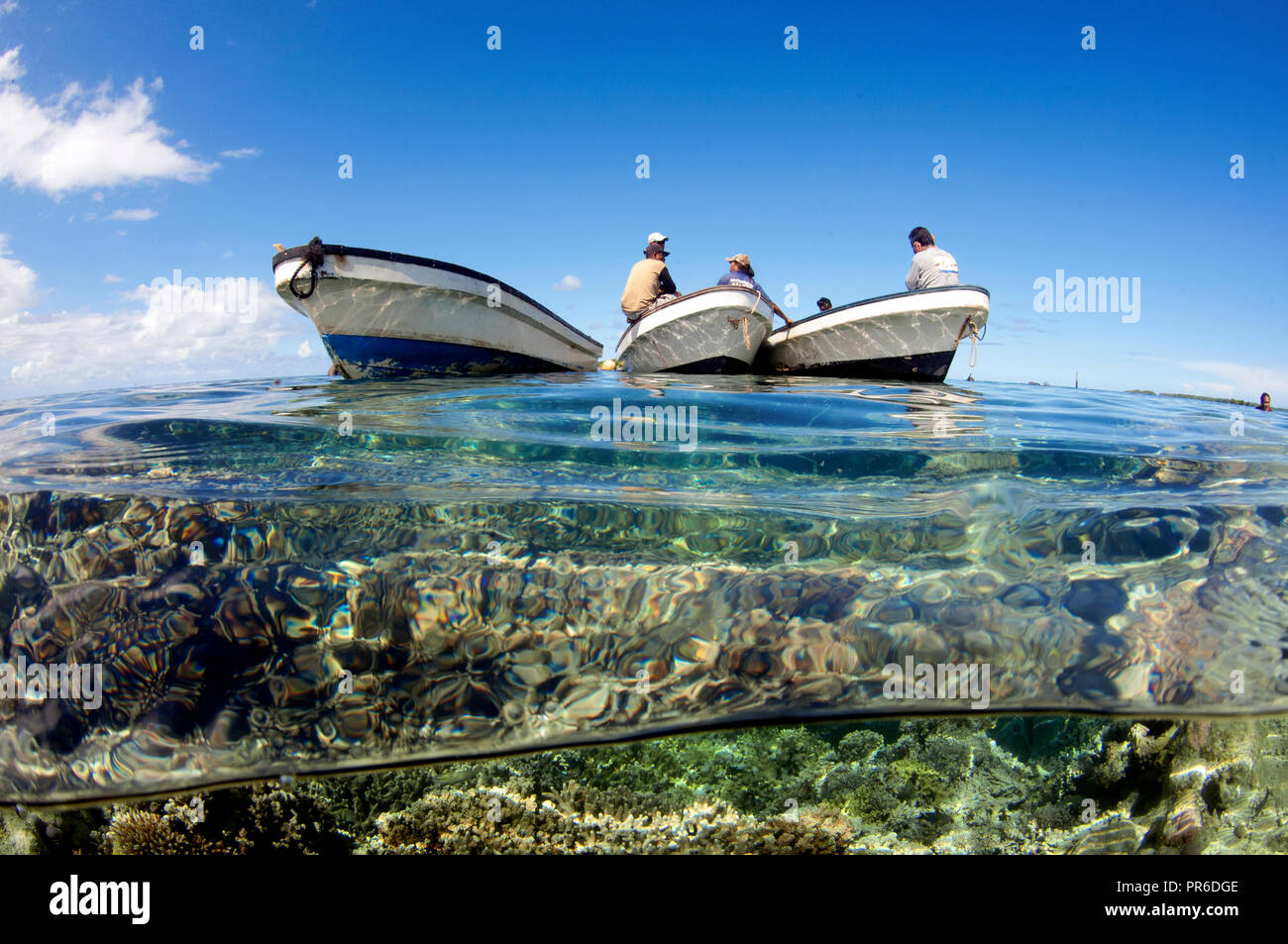 Barche vicino a superficiale Coral reef nella laguna di Pohnpei, Stati Federati di Micronesia Foto Stock