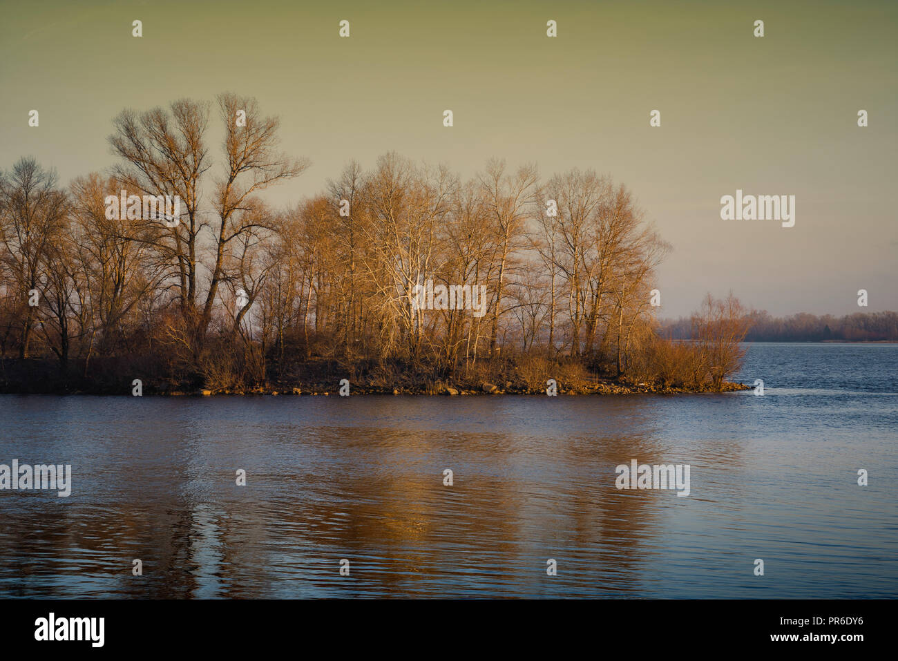 La mattina presto con alberi di riflessione sul fiume Dnieper in inverno. A Kiev, Ucraina Foto Stock