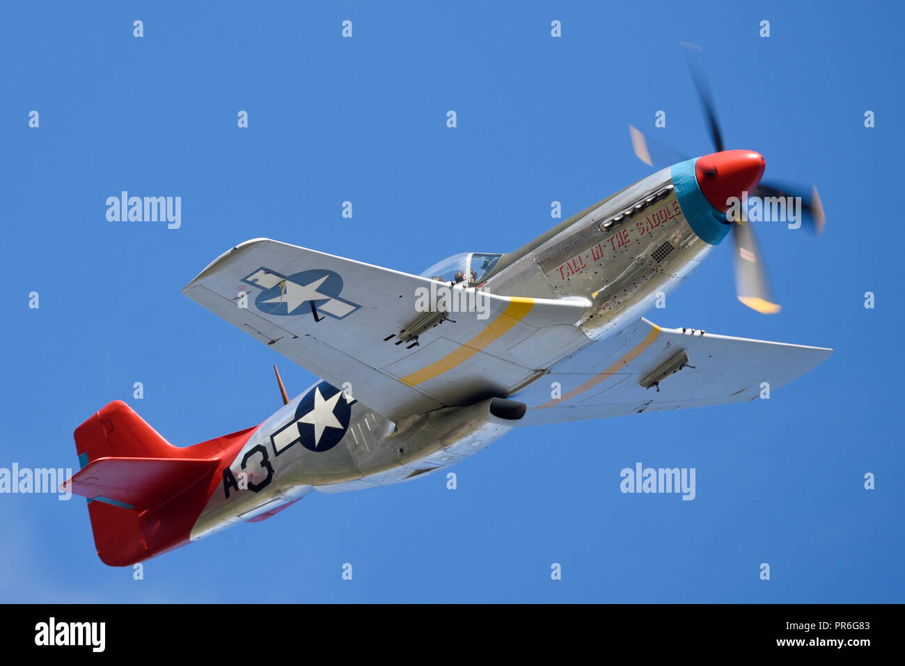 P-51D Mustang nordamericano chiamato Tall in the Saddle pilotato da Peter Teichman dell'Hangar 11 a North Weald, Essex, volando in cielo blu Foto Stock