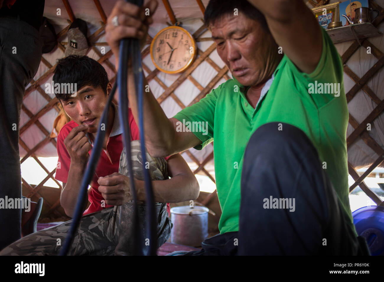 Un padre e suo figlio cucire in casa del cammello museruola per i loro animali vicino alla città di Saikhan Ovoo in provincia Dundgovi, Mongolia meridionale. Foto Stock
