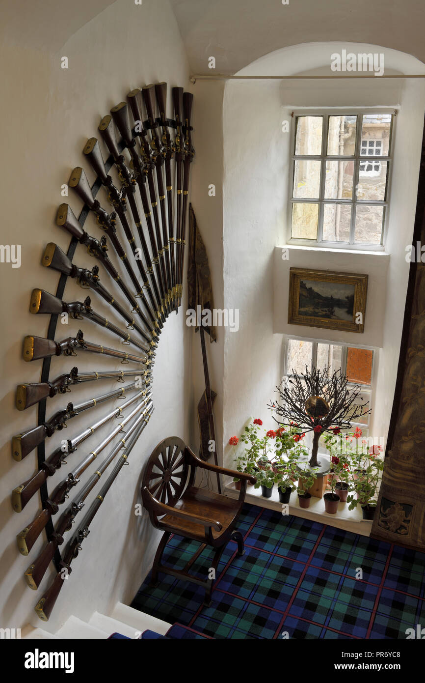 Moschetto fucile visualizzazione raccolta nella scalinata frontale di Cawdor Castle con il Clan Campbell di Cawdor tartan rug Scotland Regno Unito Foto Stock