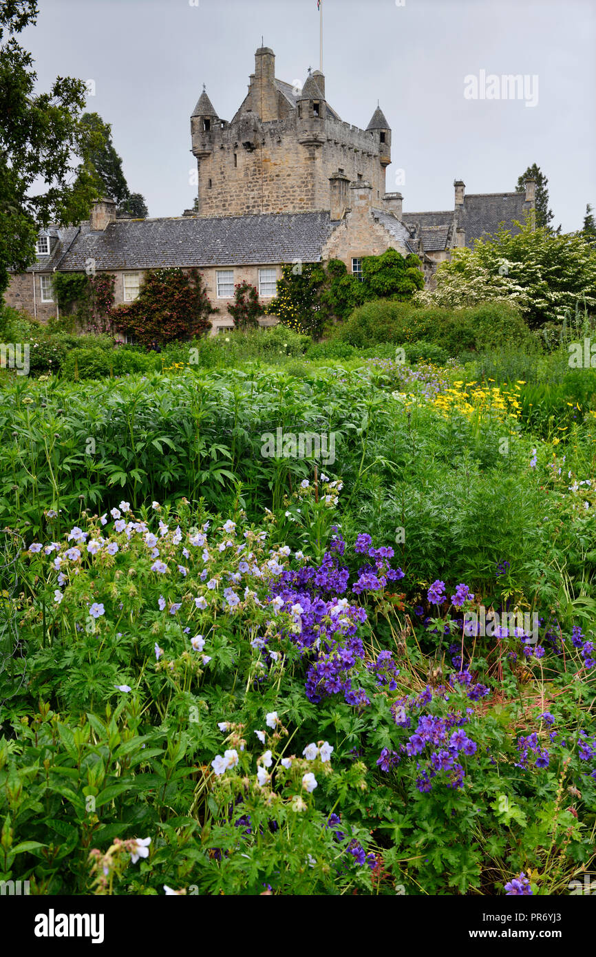 Wet Flower Garden con lussureggianti fiori perenni a sud di Cawdor Castle dopo le piogge di Cawdor Nairn Scozia UK Foto Stock