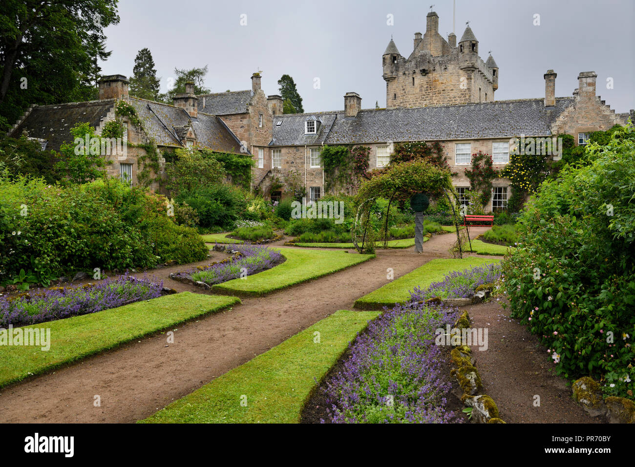 Wet Flower Garden con viola fiori perenni a sud di Cawdor Castle dopo le piogge di Cawdor Nairn Scozia UK Foto Stock