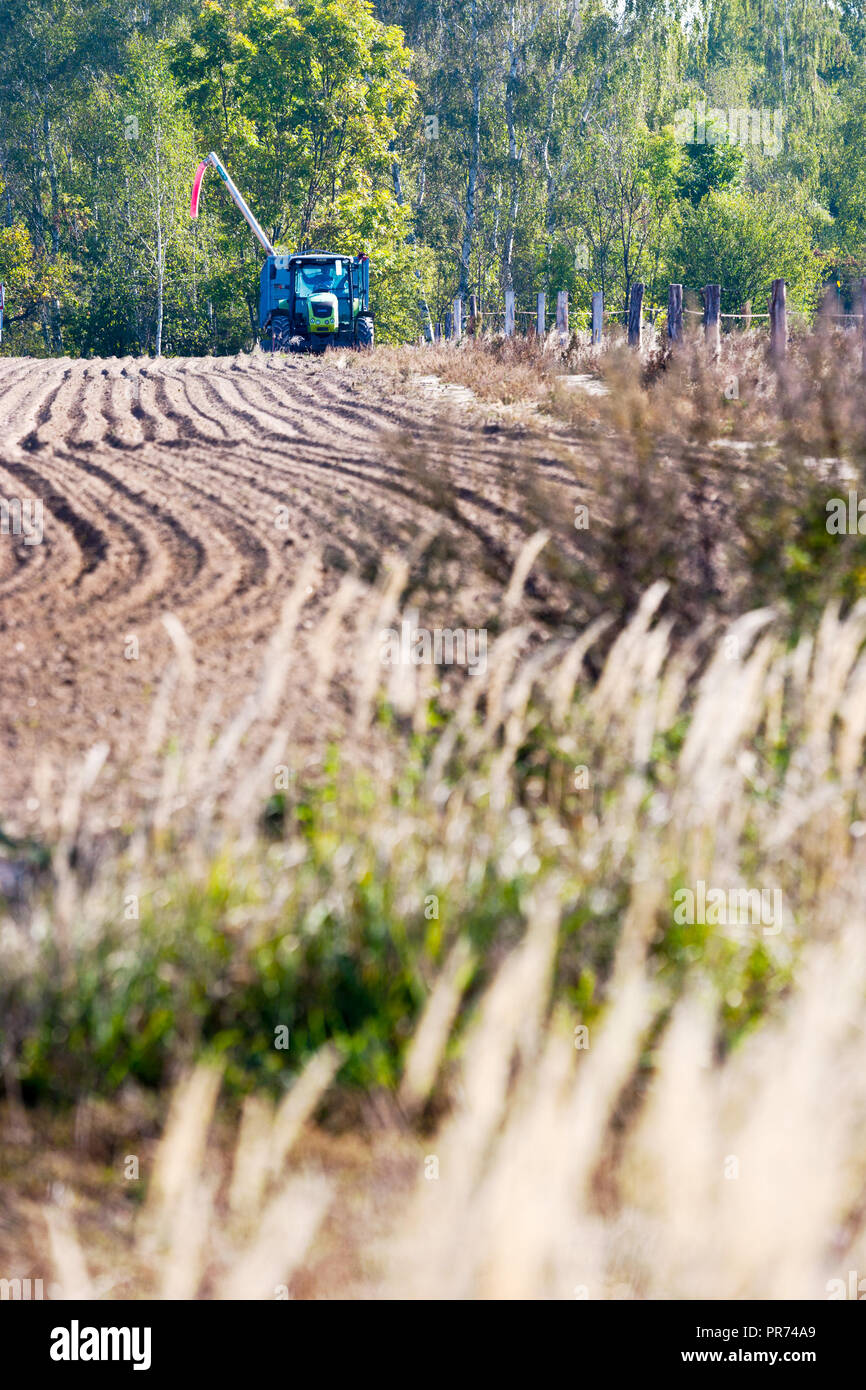 Il trattore arare il terreno nel campo autunnale, Central Bohemia Repubblica Ceca - tipica campagna lavori in autunno Foto Stock