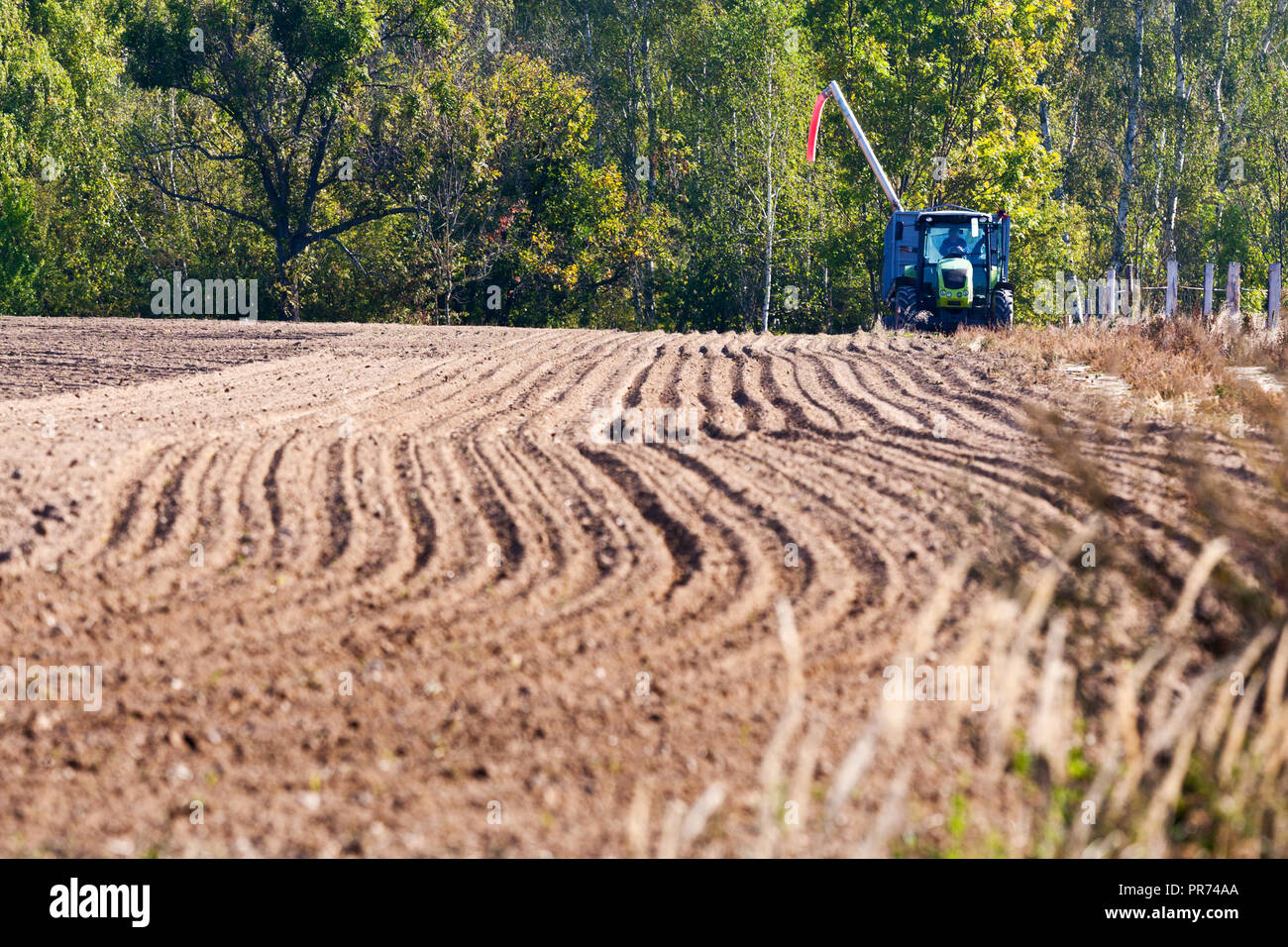 Il trattore arare il terreno nel campo autunnale, Central Bohemia Repubblica Ceca - tipica campagna lavori in autunno Foto Stock