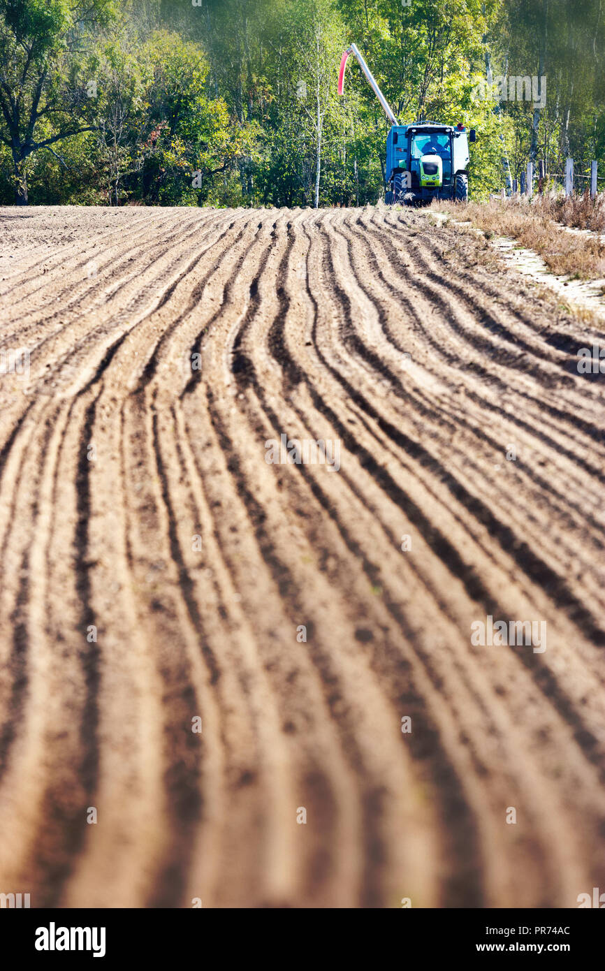 Il trattore arare il terreno nel campo autunnale, Central Bohemia Repubblica Ceca - tipica campagna lavori in autunno Foto Stock