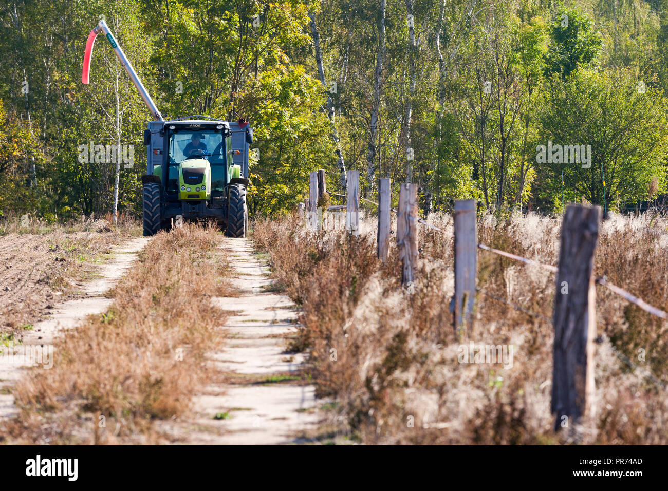 Il trattore arare il terreno nel campo autunnale, Central Bohemia Repubblica Ceca - tipica campagna lavori in autunno Foto Stock