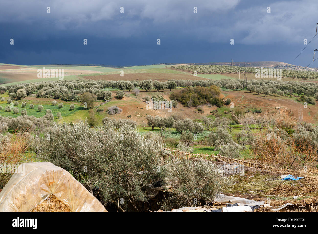 Le antiche rovine romane di Volubilis in Marocco con mosaici Foto Stock