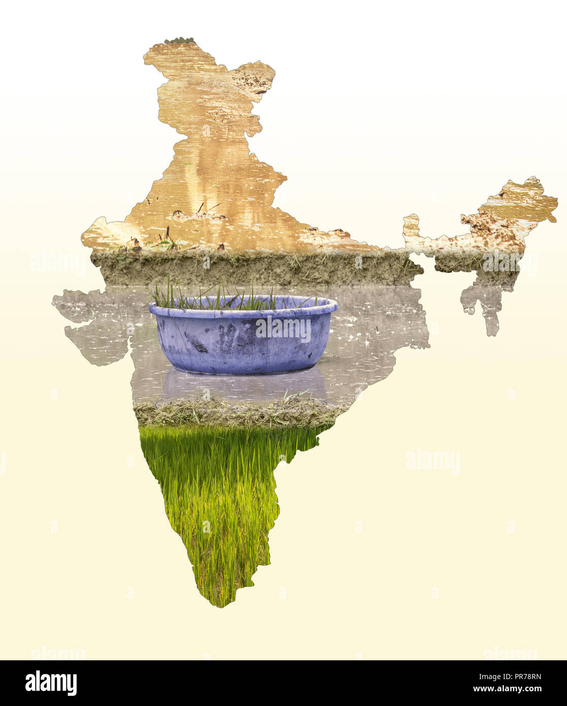 Mappa di India nel campo dell'agricoltura design bianco sul gradiente dello sfondo, Indiano agricoltura, Kisan diwas concept Foto Stock