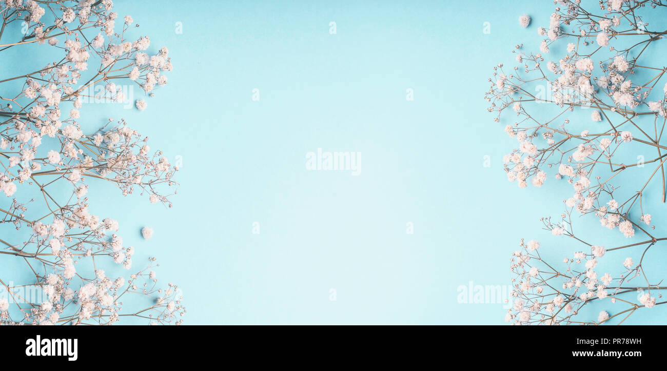 Azzurro sfondo floreale con telaio bianco Gypsophila fiori. Baby's ...