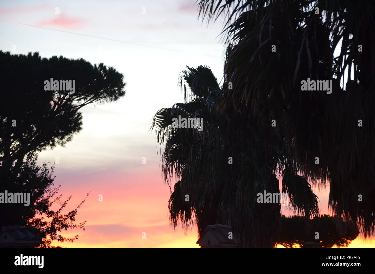 Sagome al tramonto Foto Stock