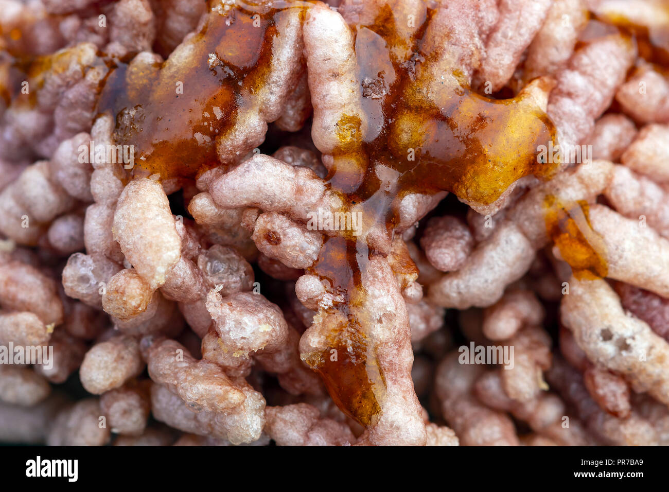 Thai dessert - riceberry cracker di riso o biscotto di guarnire con zucchero di canna chiusa Foto Stock