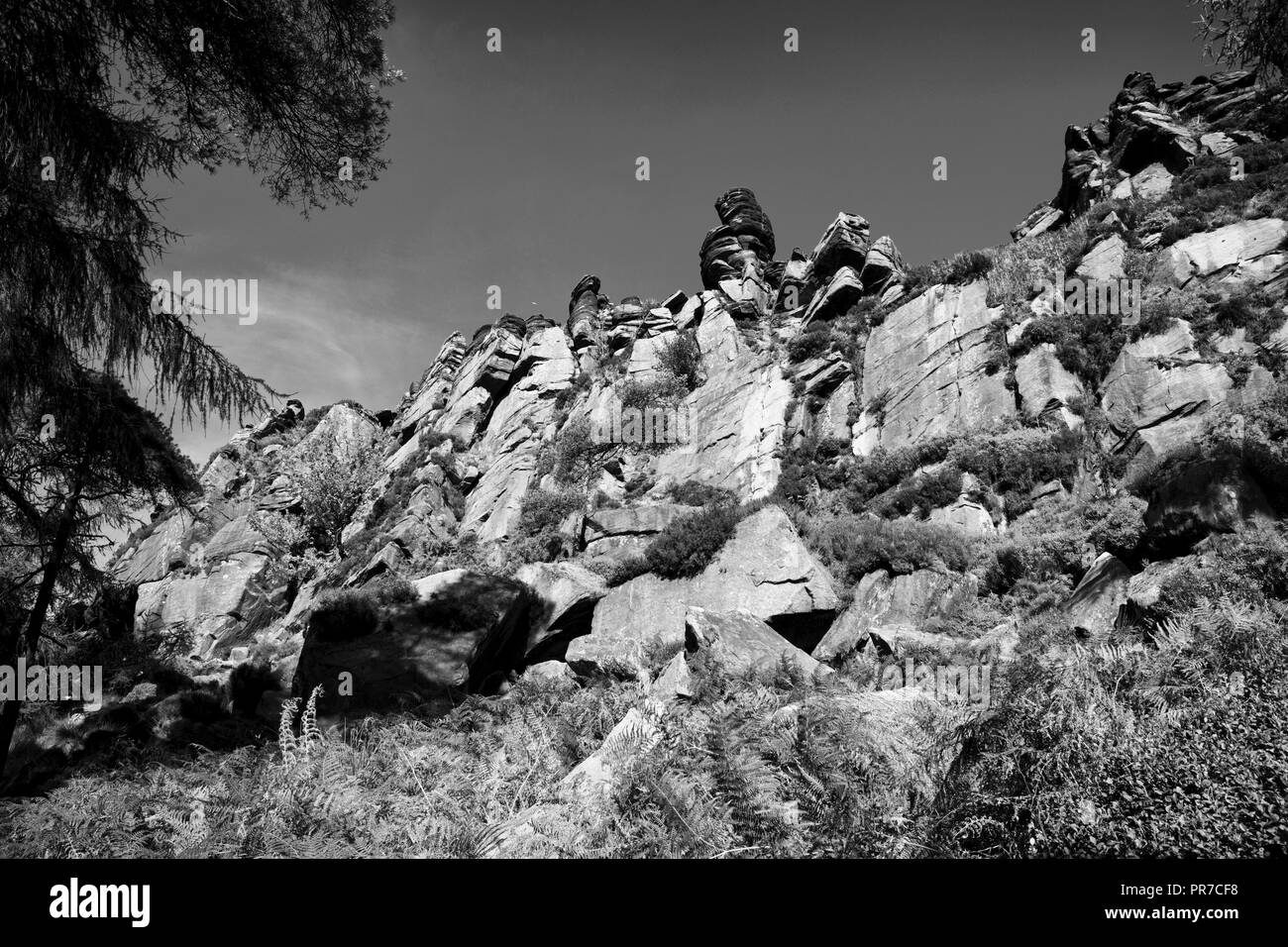 Il magnifico paesaggio di scarafaggi in Staffordshire Foto Stock